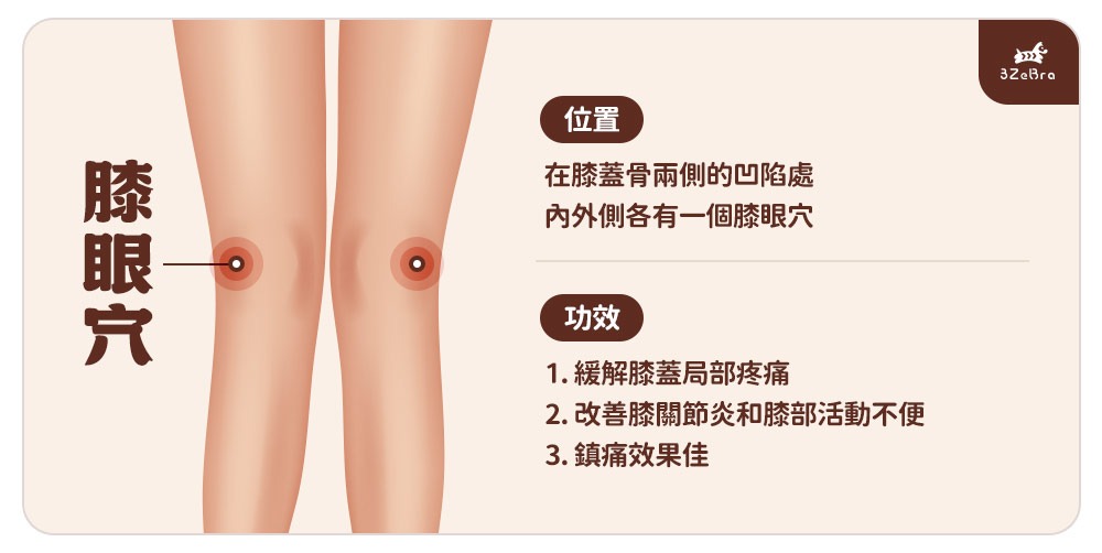 膝蓋痛怎麼舒緩-膝蓋穴道-膝眼穴