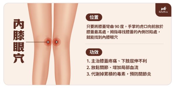 腿部穴道圖 內膝眼穴