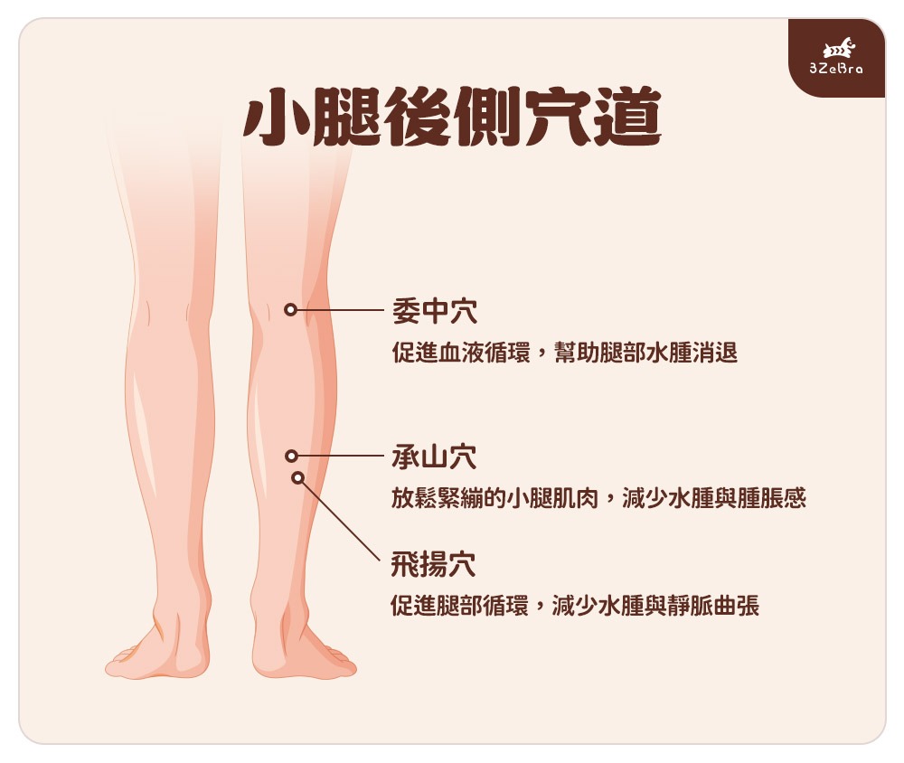 小腿後側穴道