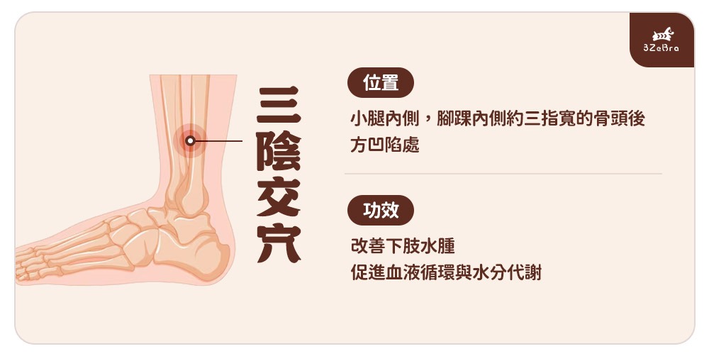 小腿緊繃 三陰交穴