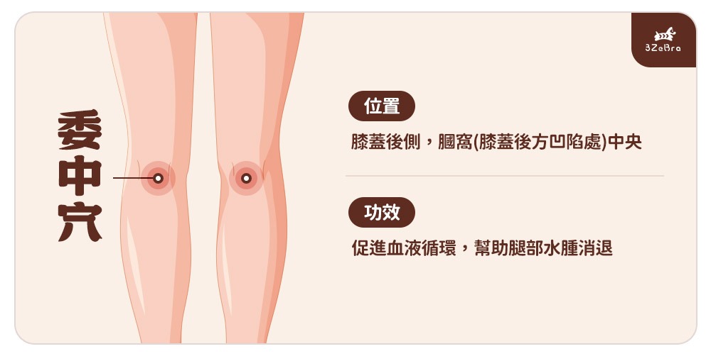 小腿緊繃 委中穴