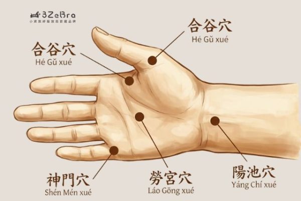 手部按摩穴位