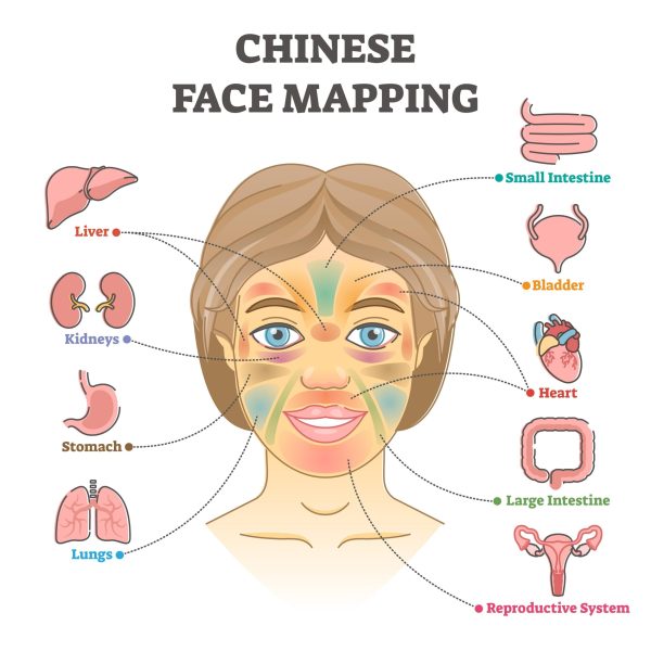 臉部穴道對應器官