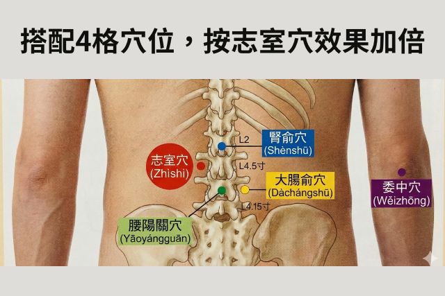 搭配這4個穴位,按摩志室穴效果加倍