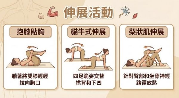 腰部舒緩伸展活動