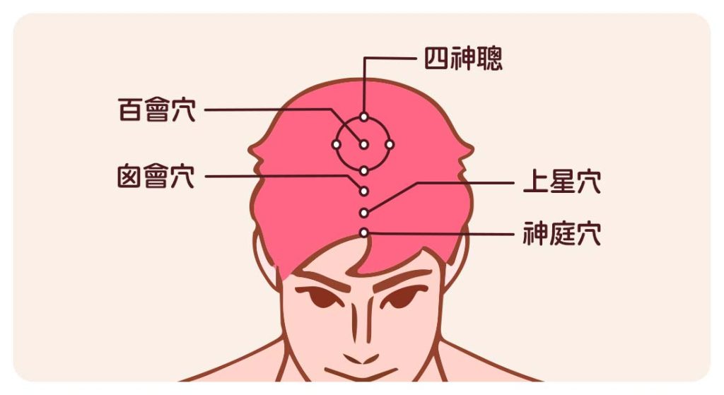 頭部穴道對應