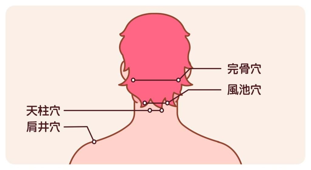 頭部穴道對應