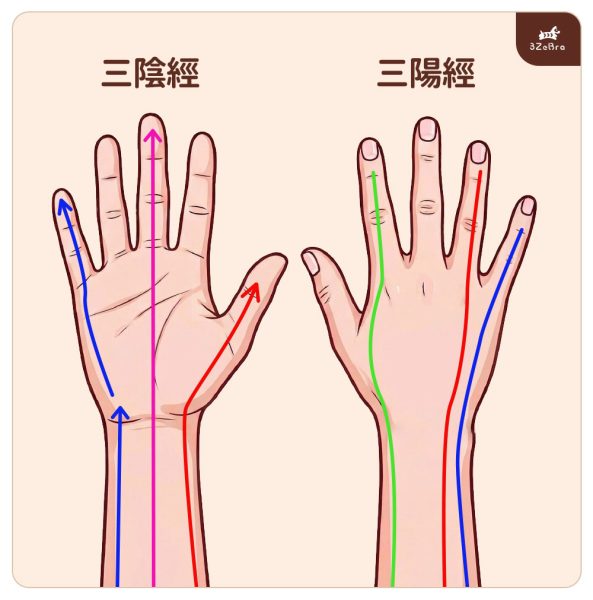 做手部經絡按摩前先了解手三陰經與手三陽經