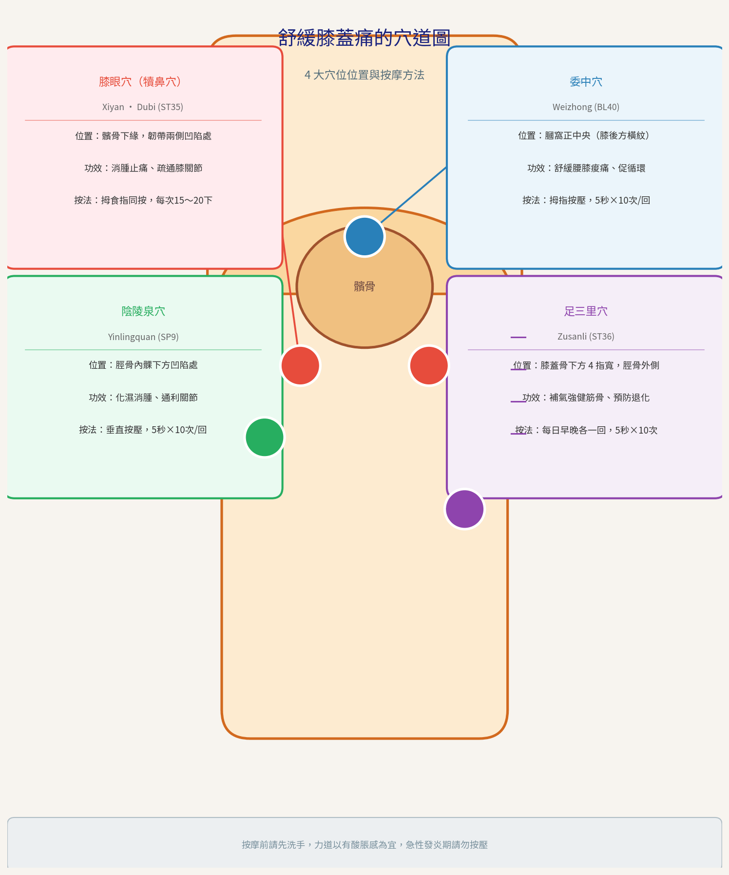 膝蓋痛原因舒緩：膝眼穴、委中穴、陰陵泉穴、足三里穴位置圖解